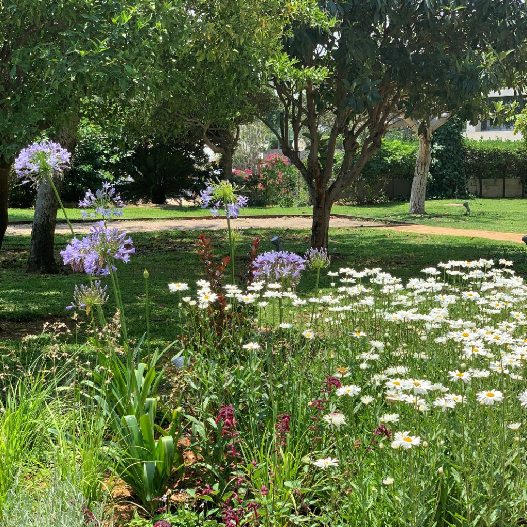 עיצוב גינות יוקרה