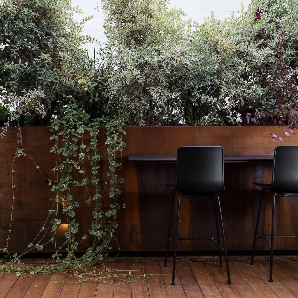 גינות גג מעוצבות